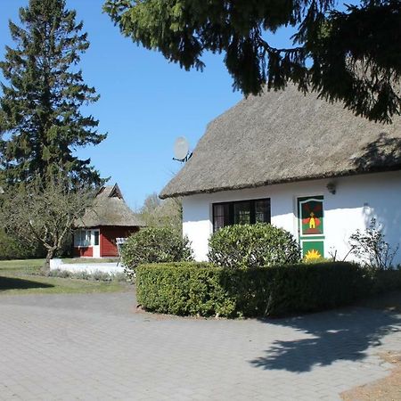 Ferienhaus Ilva In Born别墅 外观 照片