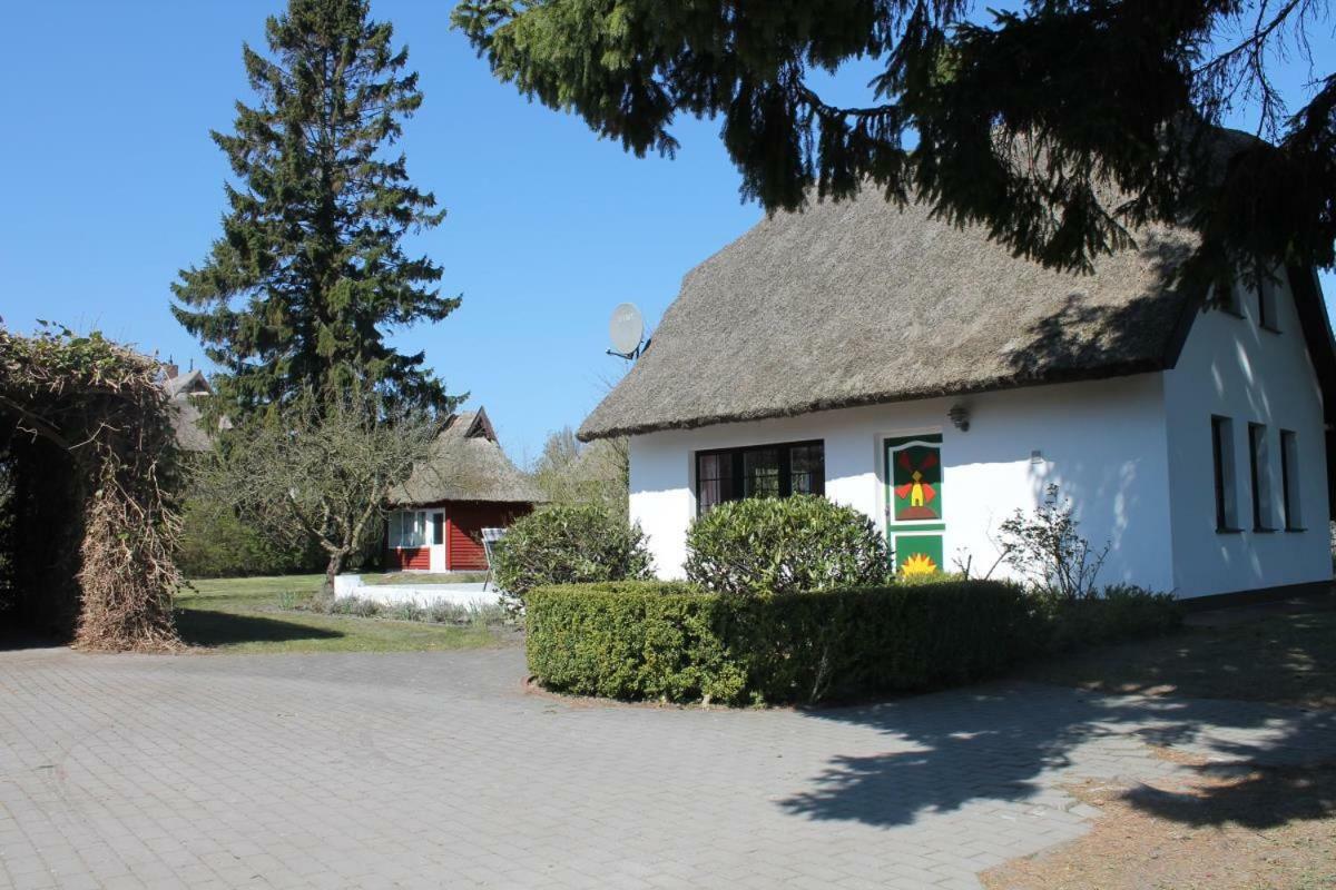 Ferienhaus Ilva In Born别墅 外观 照片